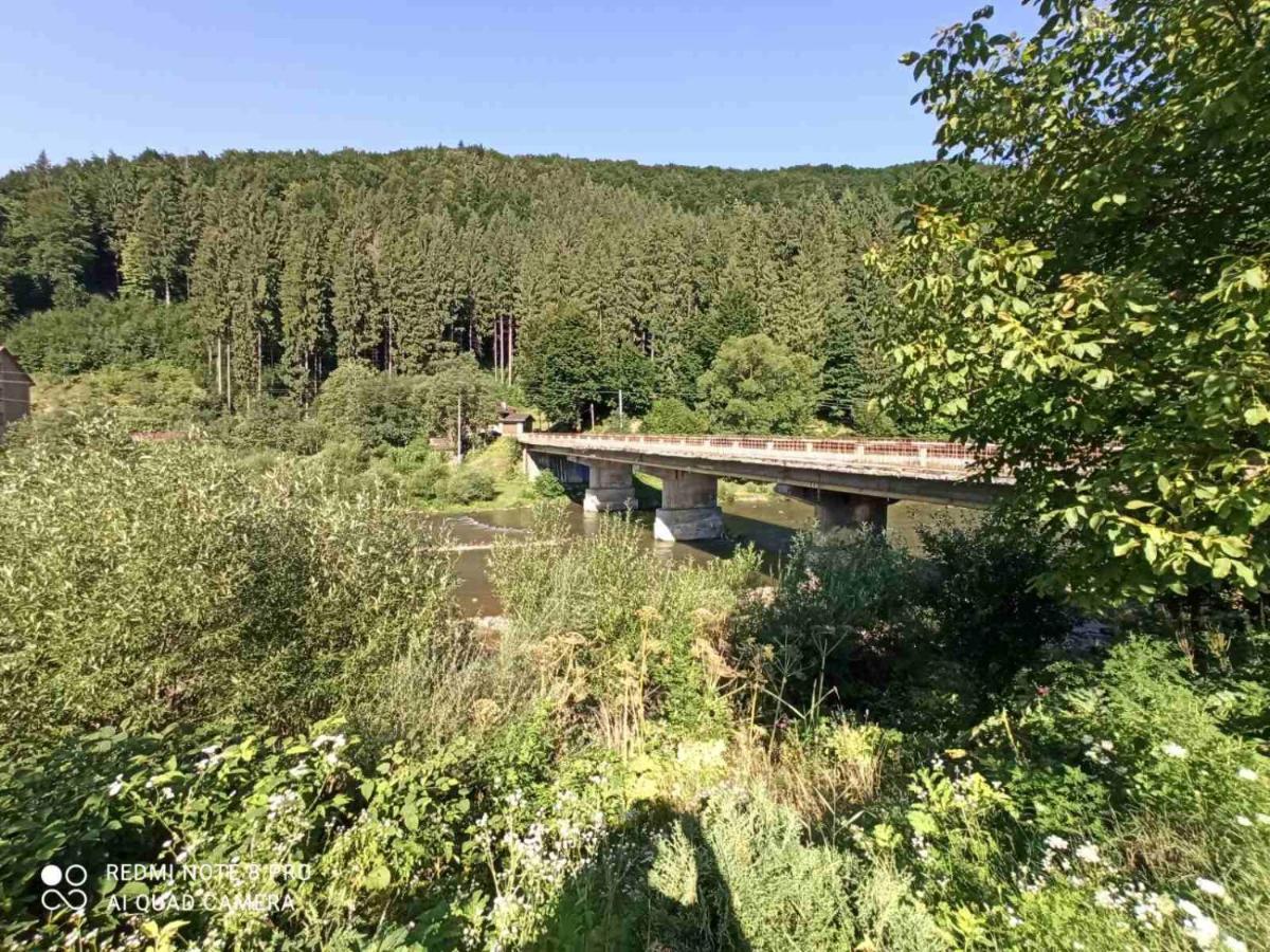 Chotiri Stihii Villa Mizhhirya  Esterno foto